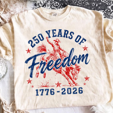 Load image into Gallery viewer, 250 Years of Freedom